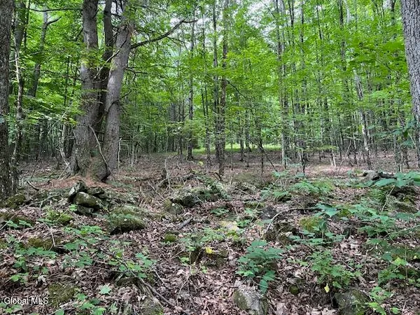 $44,900 | L34 Fred Jensen Road, Middleburgh, NY 12122