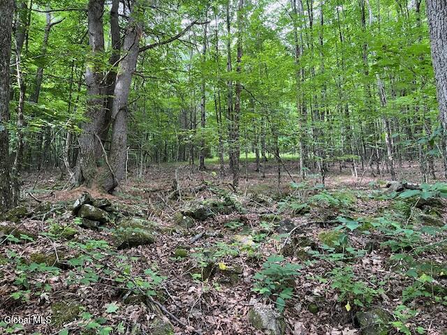 L34 Fred Jensen Road Middleburgh, NY 12122 - Photo 1 of 20 IMG_5687
