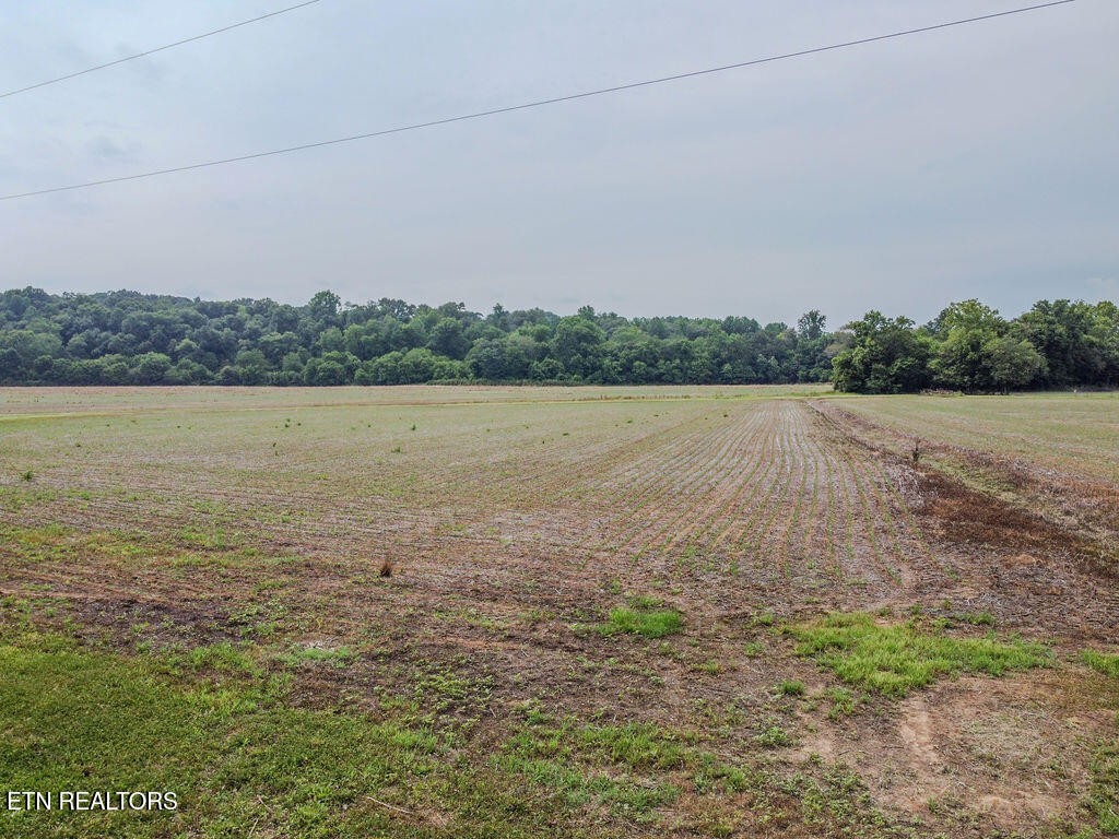 0 Old Belltown Mill Road Tellico Plains, TN 37385 - Photo 35 of 49