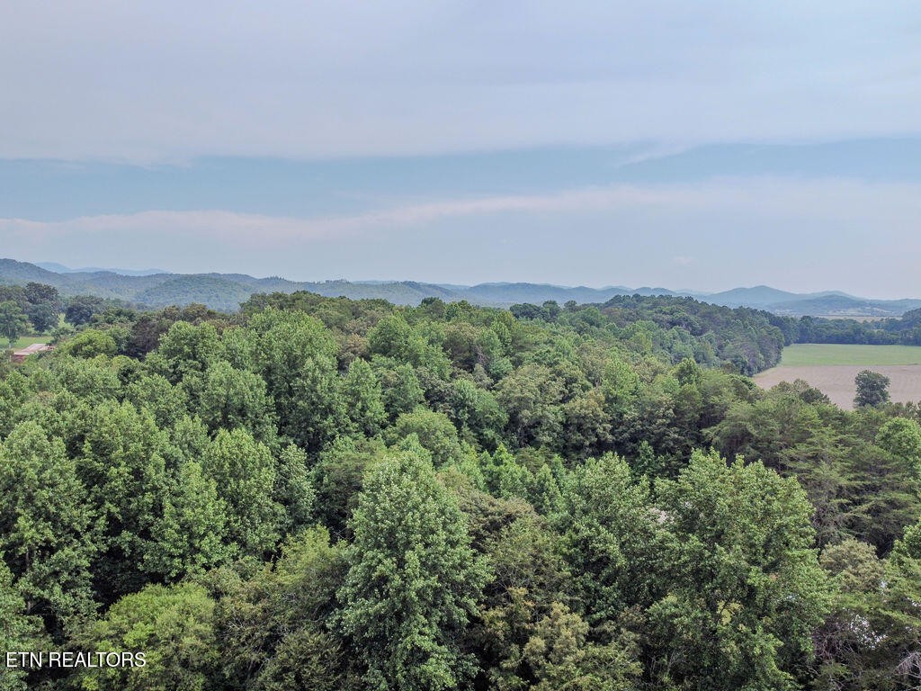 0 Old Belltown Mill Road Tellico Plains, TN 37385 - Photo 37 of 49