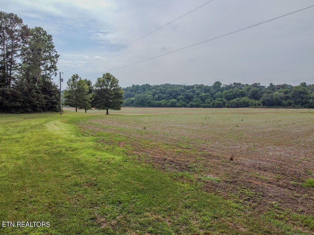 0 Old Belltown Mill Road Tellico Plains, TN 37385 - Photo 38 of 49