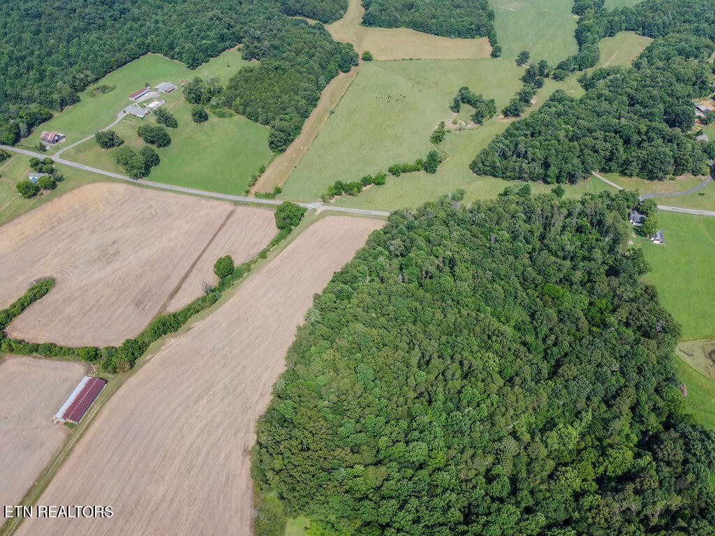 0 Old Belltown Mill Road Tellico Plains, TN 37385 - Photo 40 of 49
