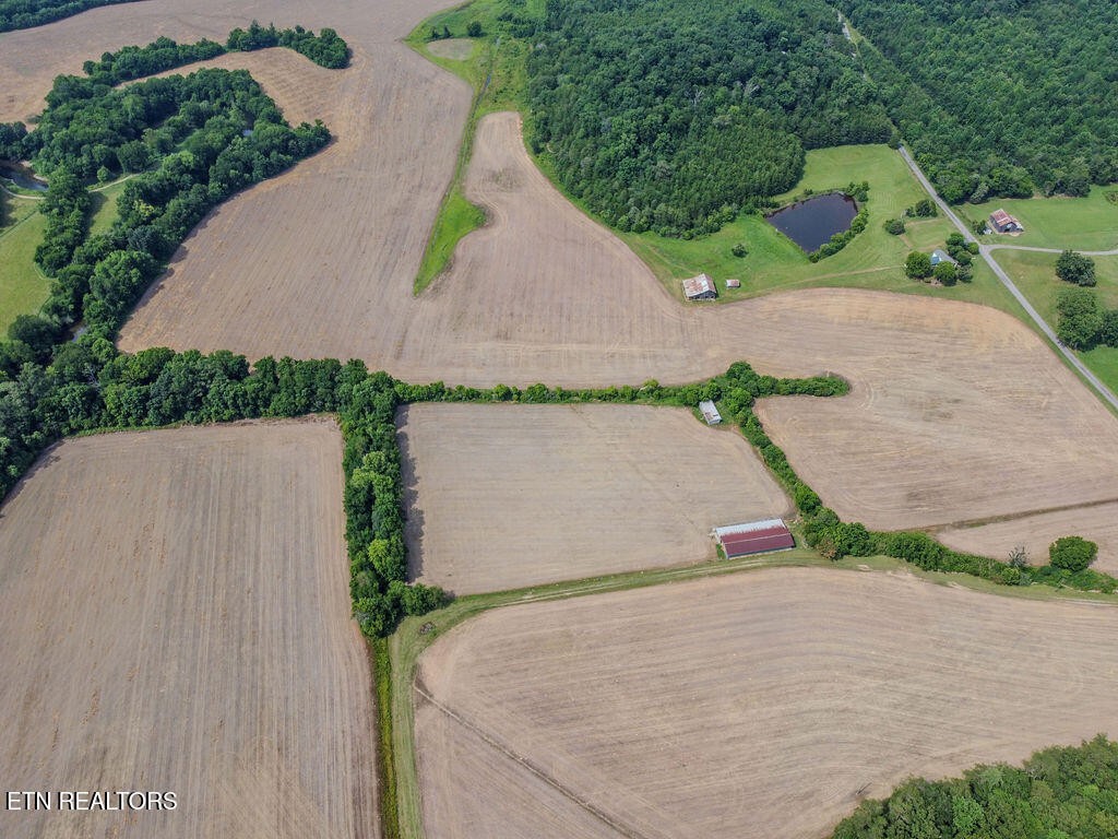 0 Old Belltown Mill Road Tellico Plains, TN 37385 - Photo 41 of 49
