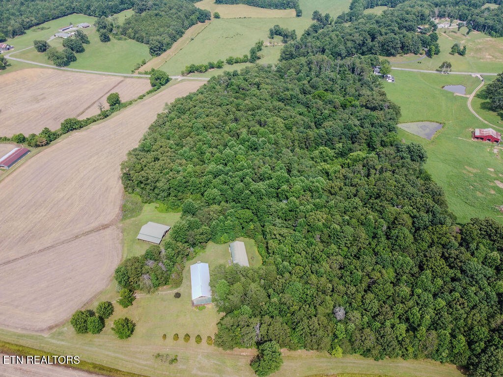 0 Old Belltown Mill Road Tellico Plains, TN 37385 - Photo 42 of 49