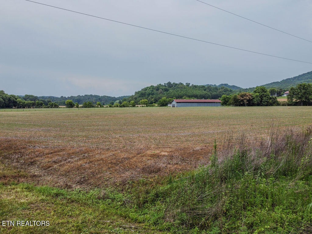 0 Old Belltown Mill Road Tellico Plains, TN 37385 - Photo 45 of 49