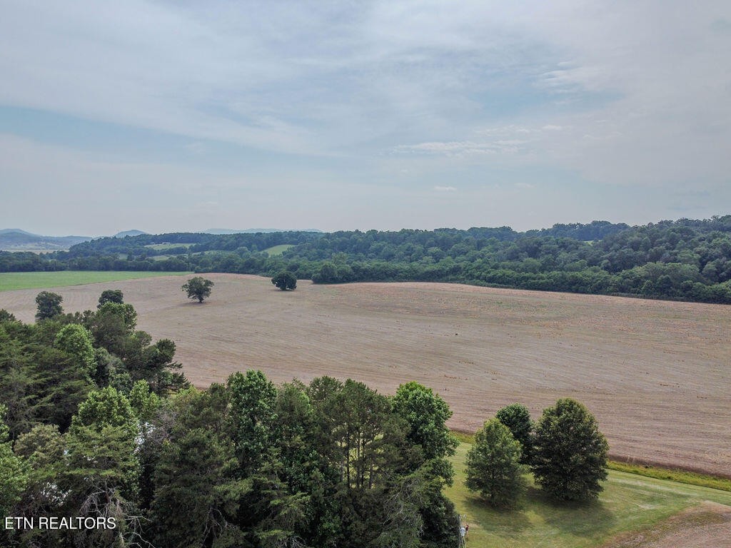 0 Old Belltown Mill Road Tellico Plains, TN 37385 - Photo 46 of 49