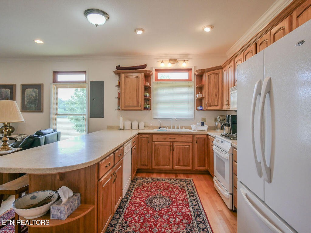 0 Old Belltown Mill Road Tellico Plains, TN 37385 - Photo 8 of 49