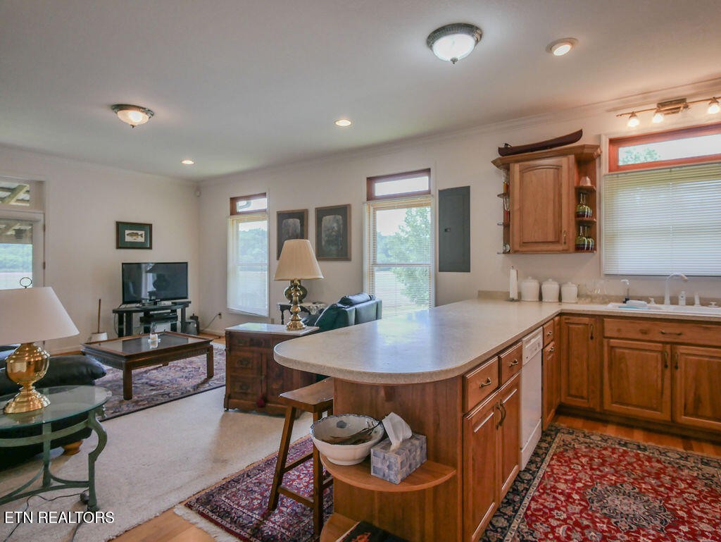 0 Old Belltown Mill Road Tellico Plains, TN 37385 - Photo 10 of 49