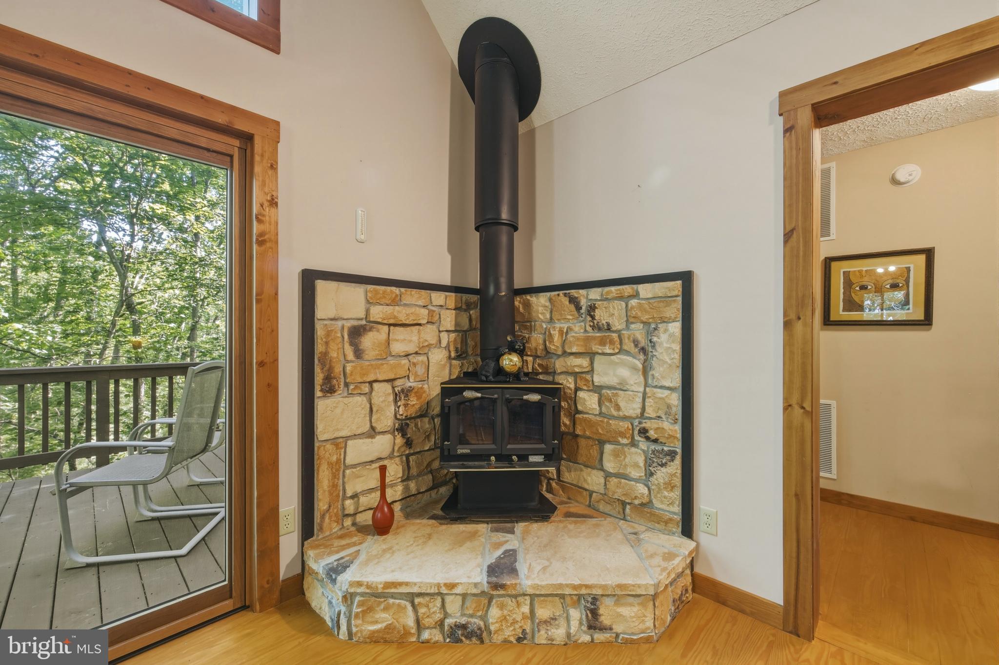 309 Locust Lane Mount Jackson, VA 22842 - Photo 19 of 57