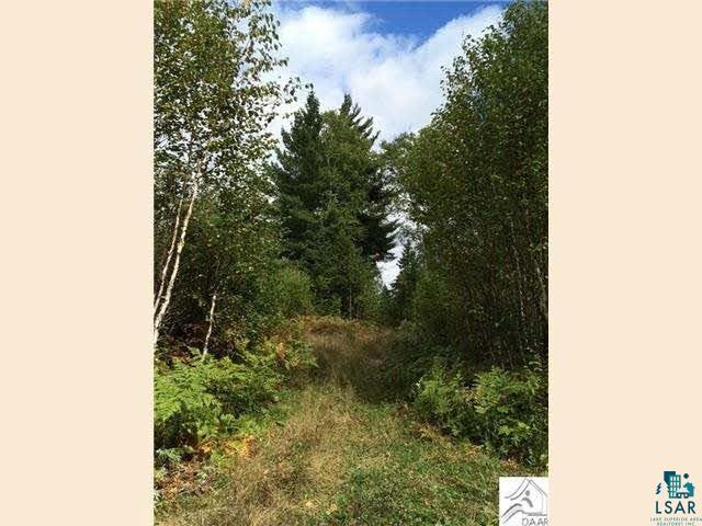 301 Reason Road Hovland, MN 55606 - Photo 10 of 12 Gallery Image 10