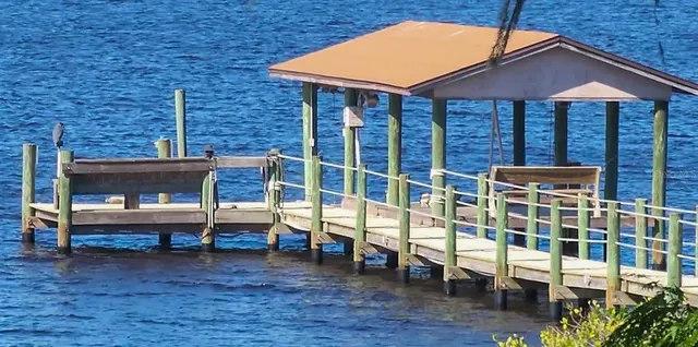 a view of a patio with table and chairs and potted plants