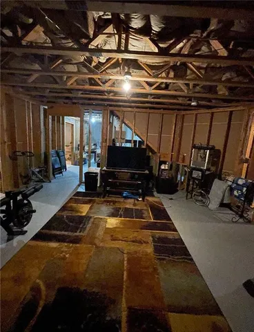 a view of a forest filled with trees