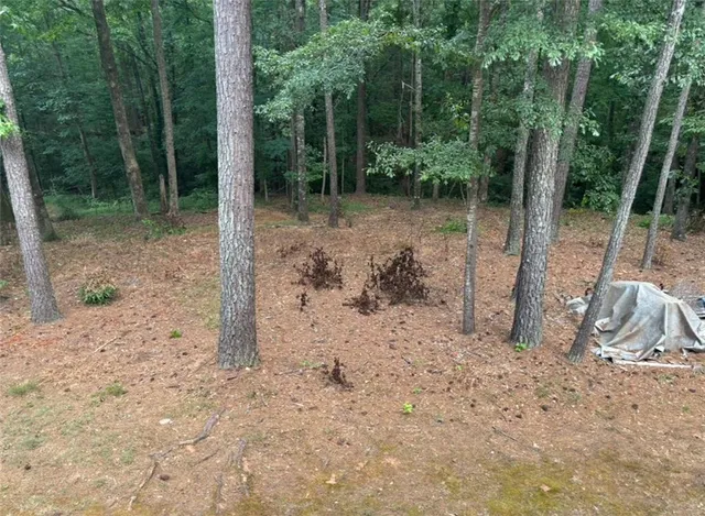 $500,000 | 1695 Butler Bridge Road, Covington, GA 30016