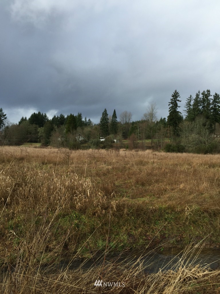131 Armstrong Road Chehalis, WA 98532 - Photo 3 of 4