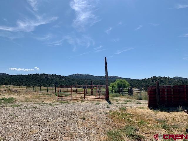 34099 Rd M Mancos, CO 81328 - Photo 27 of 35