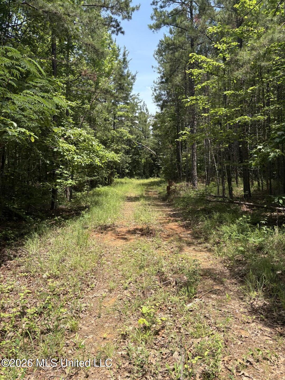 180 County Road New Albany, MS 38652 - Photo 10 of 61 Photo Jun 02 2026, 12 20 17 PM (Large)