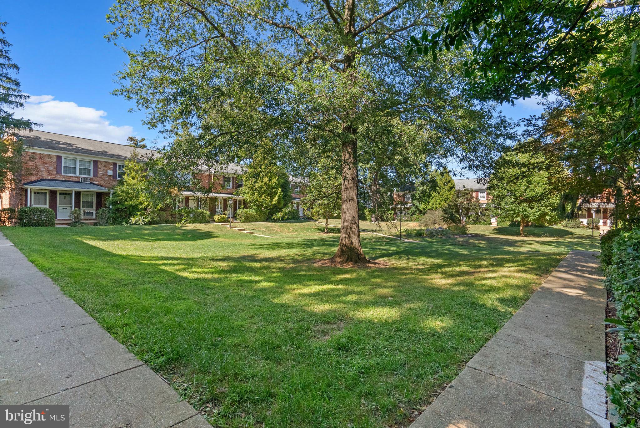 199 Talbott Street, Unit 199 Rockville, MD 20852 - Photo 29 of 31 a view of a park with large trees