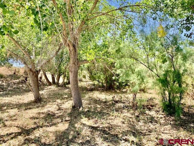 5740 G Road Cortez, CO 81321 - Photo 12 of 18 Gallery Image 12