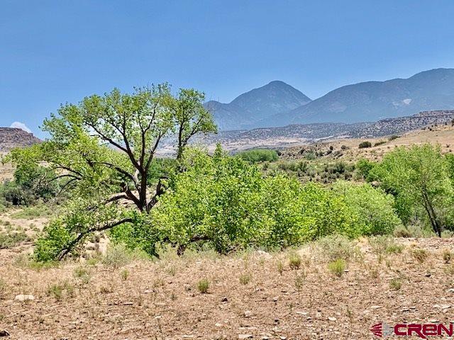 5740 G Road Cortez, CO 81321 - Photo 14 of 18 Gallery Image 14