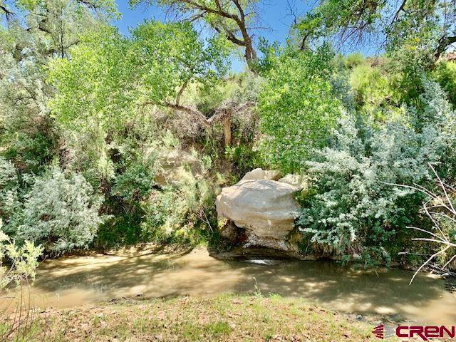 5740 G Road Cortez, CO 81321 - Photo 15 of 18 Gallery Image 15