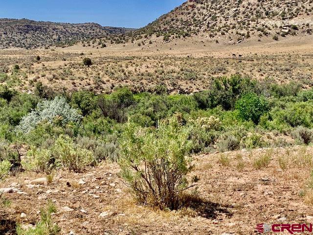 5740 G Road Cortez, CO 81321 - Photo 3 of 18 Gallery Image 3