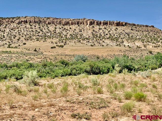 5740 G Road Cortez, CO 81321 - Photo 4 of 18 Gallery Image 4