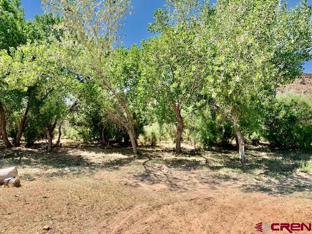 5740 G Road Cortez, CO 81321 - Photo 5 of 18 Gallery Image 5
