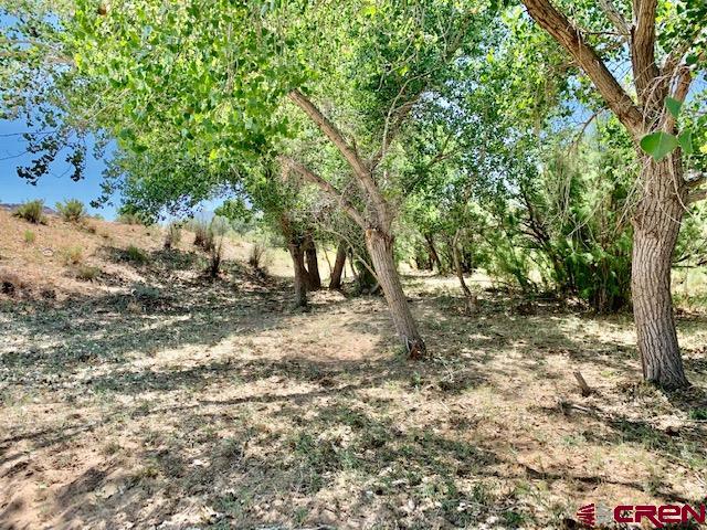 5740 G Road Cortez, CO 81321 - Photo 6 of 18 Gallery Image 6