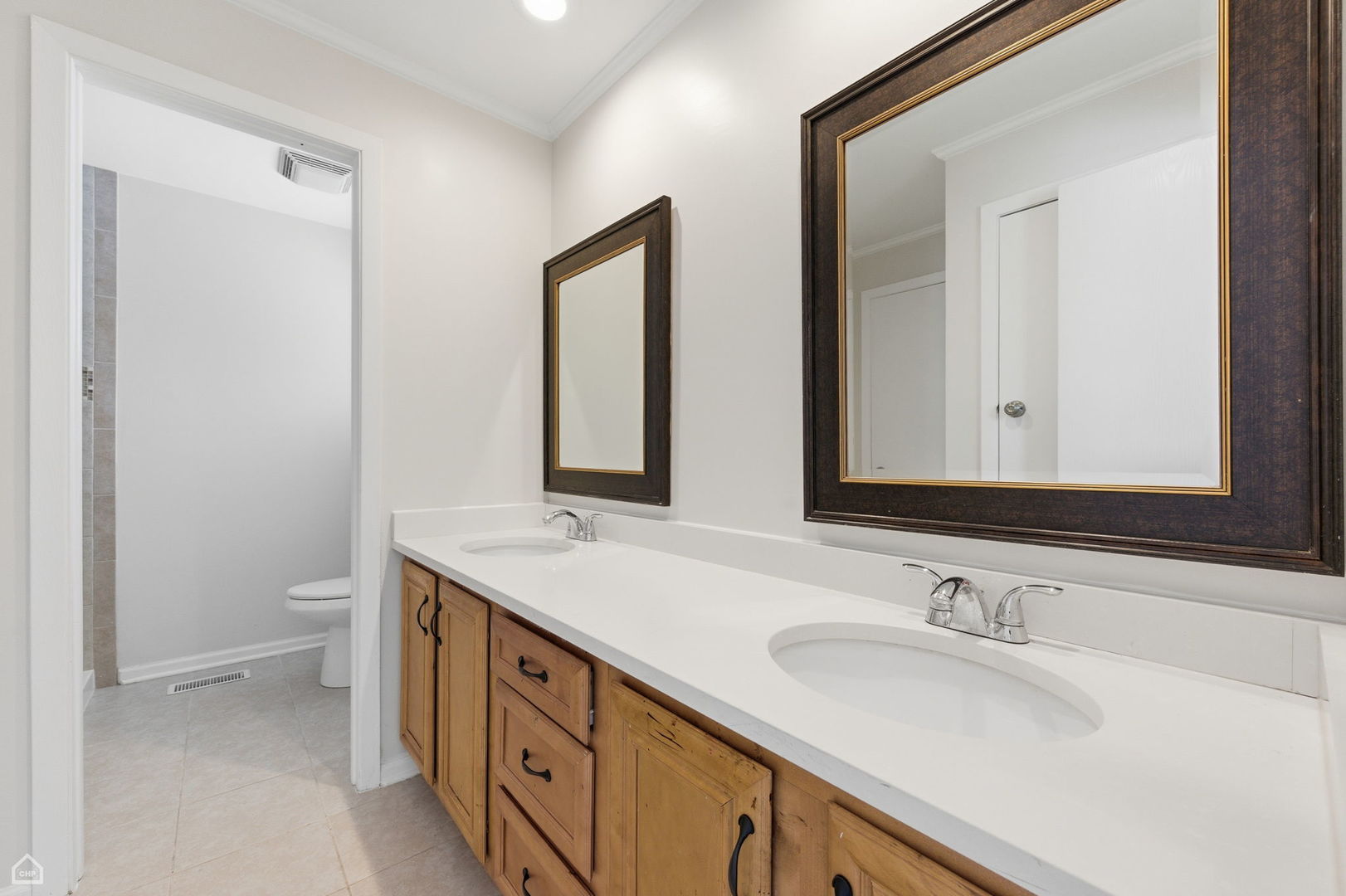 1081 Pinehurst Lane Schaumburg, IL 60193 - Photo 20 of 26 a bathroom with 2 sink and a mirror