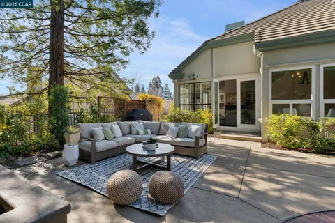 a view of a patio with couches and a potted plant on a table