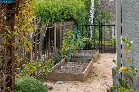 a view of a garden with potted plants