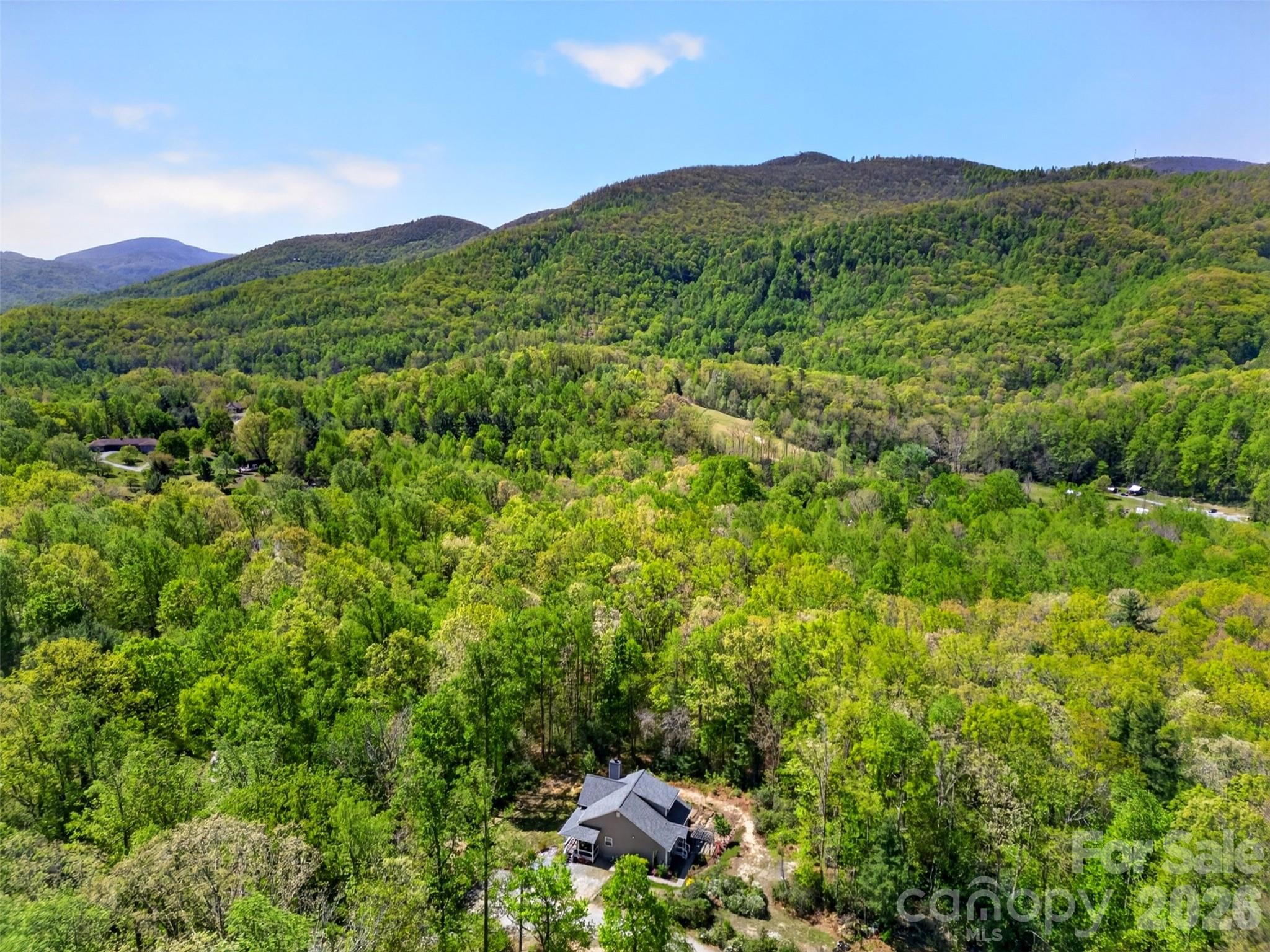38 Pine Hill Road Fairview, NC 28730 - Photo 28 of 41