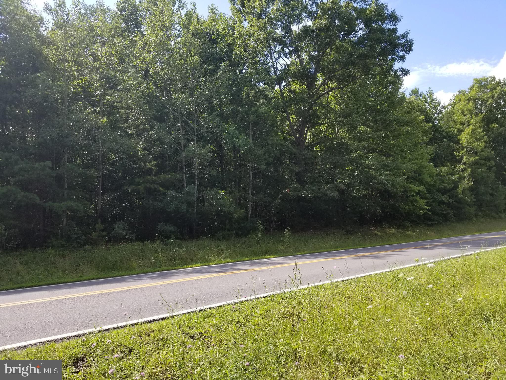 Flat Run Road Locust Grove, VA 22508 - Photo 1 of 2 Exterior (Front)