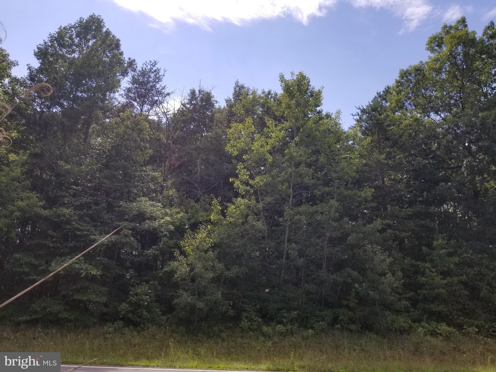 Flat Run Road Locust Grove, VA 22508 - Photo 2 of 2 Exterior (Front)