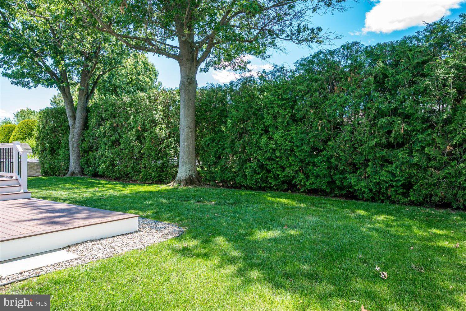 86 Albemarle Road Hamilton, NJ 08690 - Photo 40 of 49 Lush green retreat with privacy hedges.