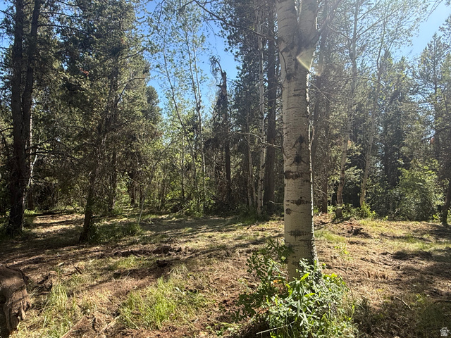 4376 Granite Ridge Ashton, ID 83420 - Photo 8 of 50