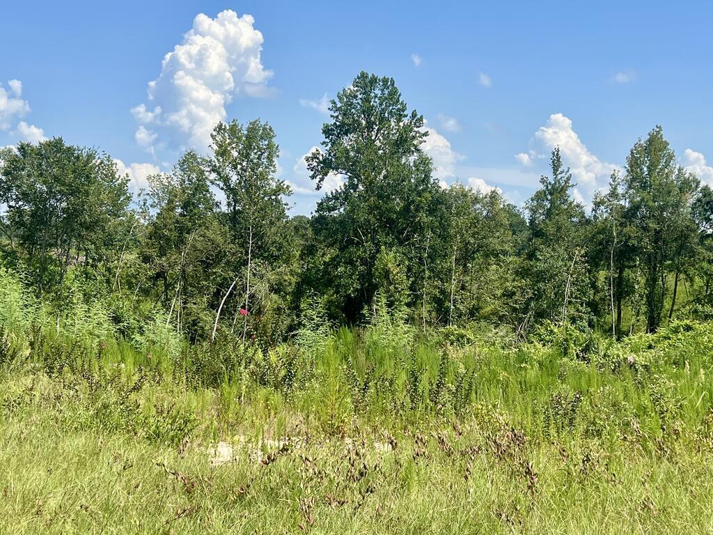0 Co Road Laurel, MS 39443 - Photo 1 of 23 Gallery Image 1