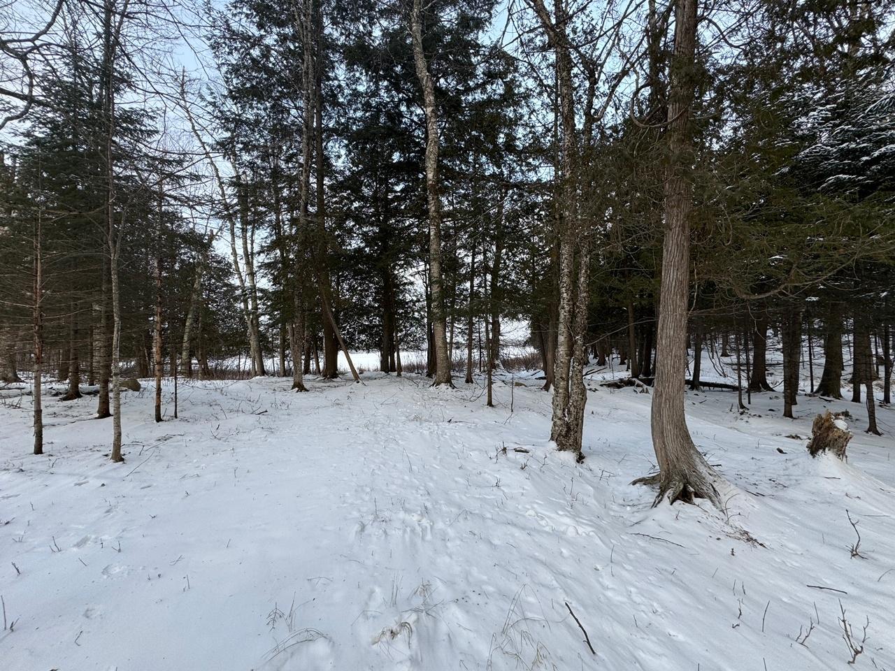 1-csm457 Fisher Lake Road Mercer, WI 54547 - Photo 8 of 13 Gallery Image 8