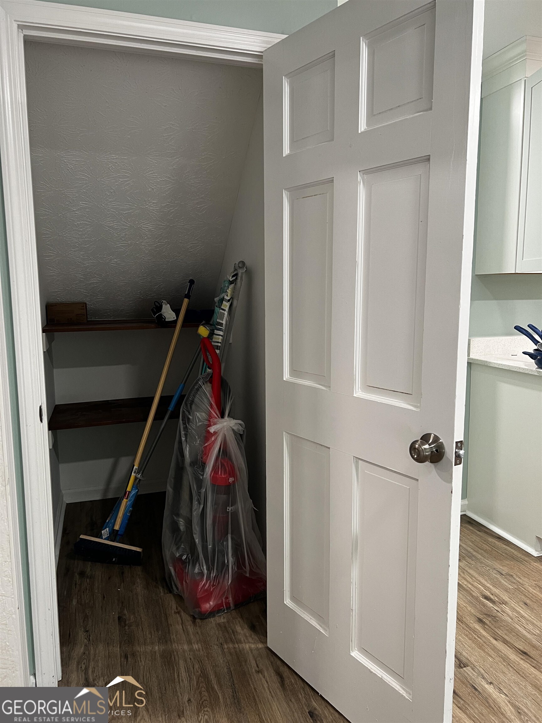 208 Swanson Ridge Peachtree City, GA 30269 - Photo 18 of 40 a view of a storage & utility room