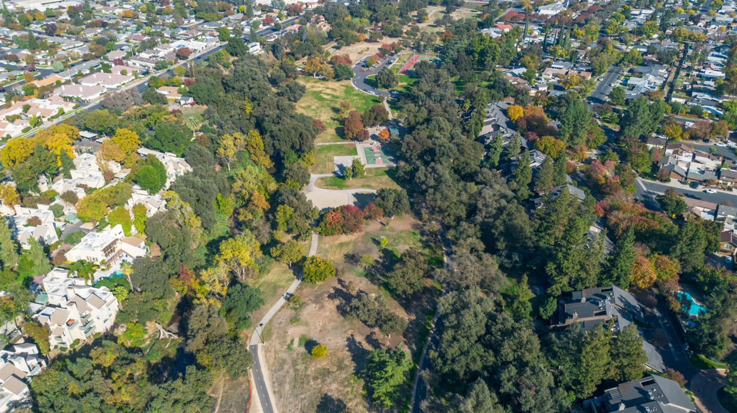 1833 Edgebrook Drive, Unit A Modesto, CA 95354 - Photo 41 of 43 a view of a tree
