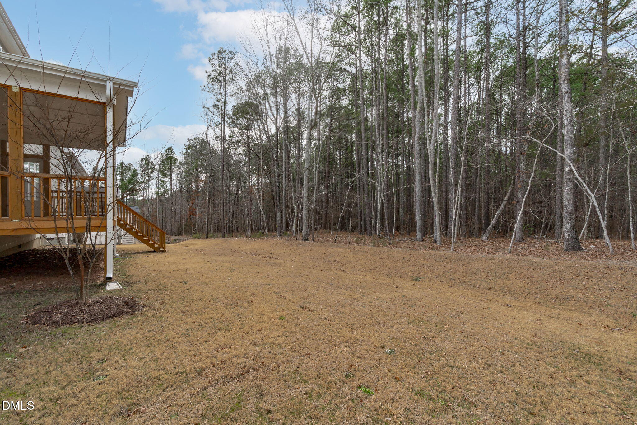 508 White Oak Pond Road Apex, NC 27523 - Photo 61 of 73 HOA Buffer Privacy In Back Yard