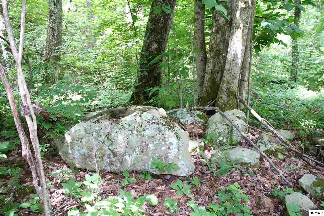 0 Collier Loop Dandridge, TN 37725 - Photo 26 of 35 Gallery Image 26
