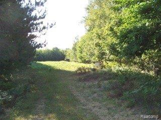 6830 Chambers Road Millington, MI 48746 - Photo 20 of 25 property- great hunting (1)
