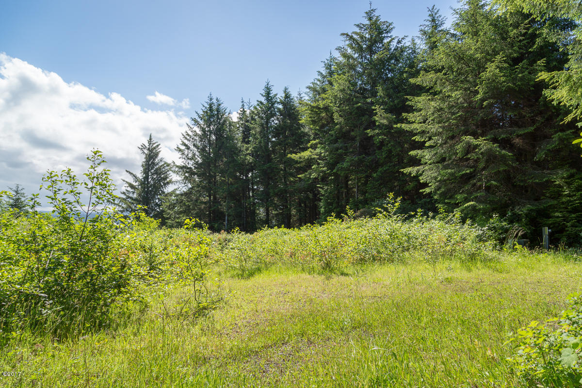 Lot 400 Northwest Legion Road Waldport, OR 97394 - Photo 3 of 10 Beautiful Cleared Site