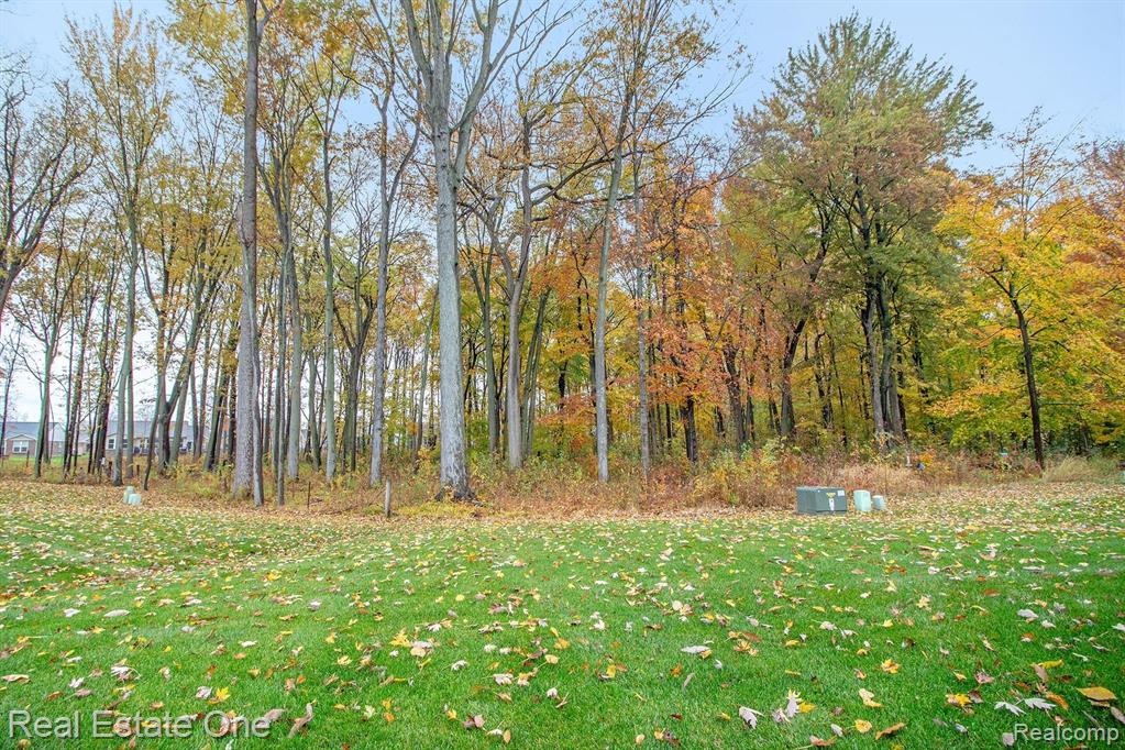 49566 Mapleton Canton, MI 48188 - Photo 20 of 22