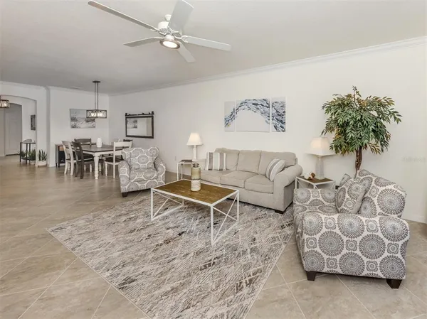 a living room with furniture and a potted plant