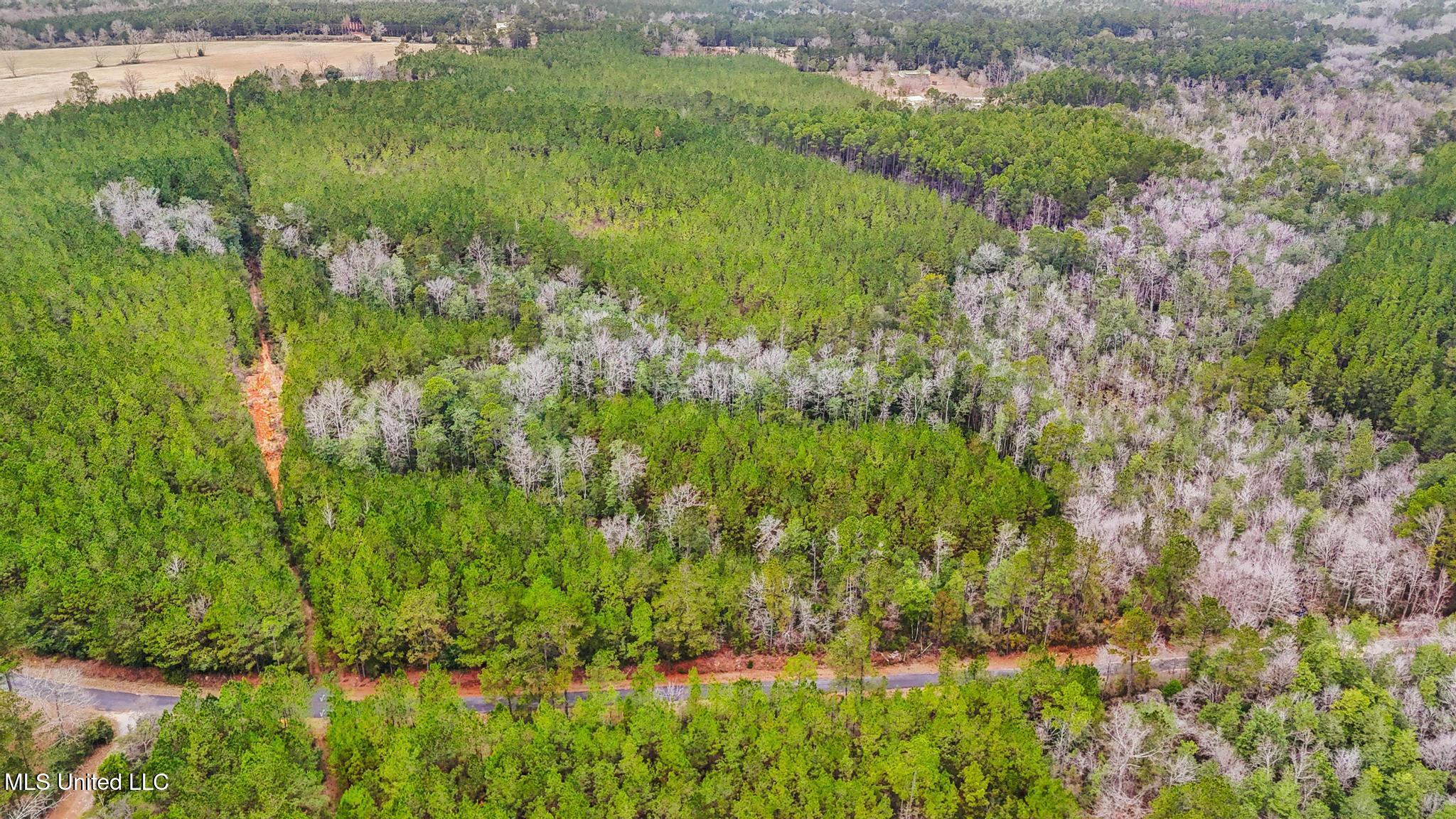 63n & Fork Road Lucedale, MS 39452 - Photo 11 of 18 011
