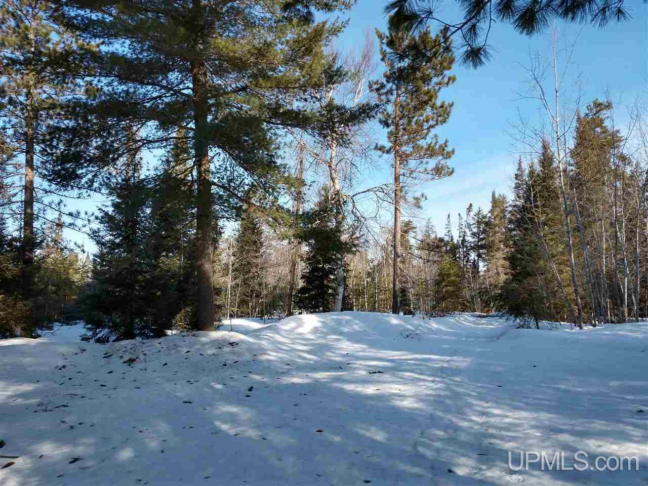 39-acres 39-acres Co Road Ishpeming, MI 49849 - Photo 31 of 39