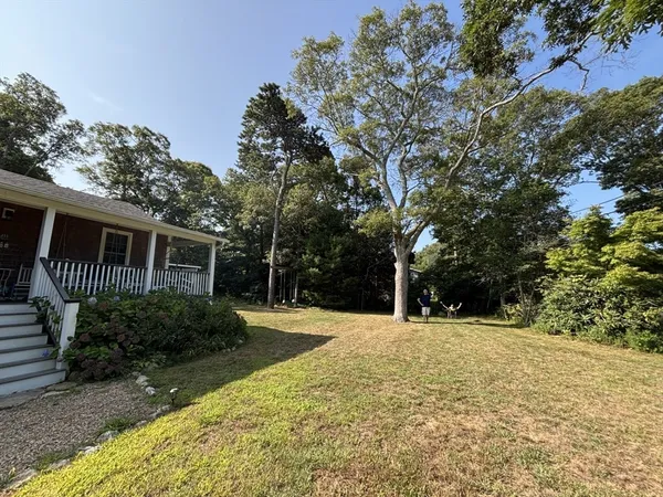 a backyard of a house with large trees and plants