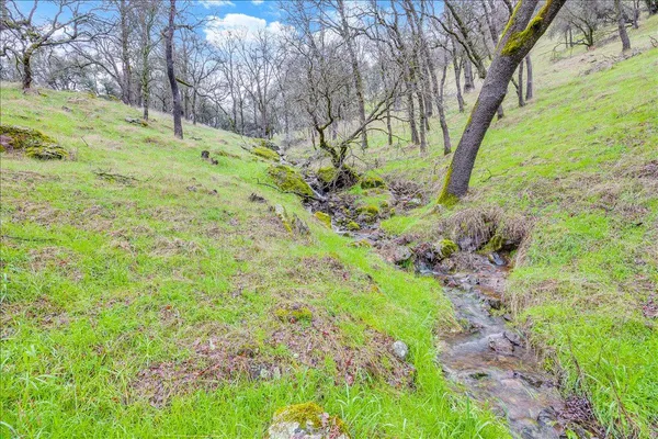 a backyard of a house